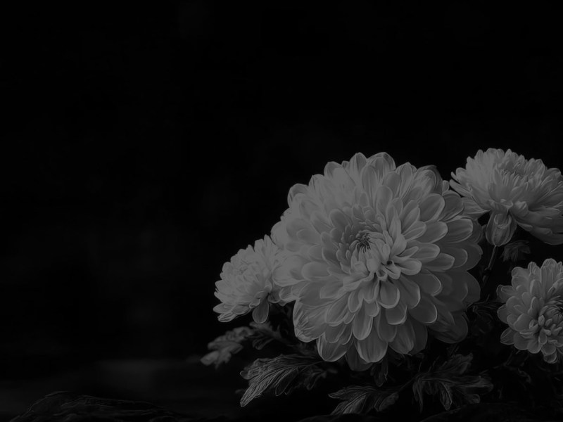 Our Heartfelt Condolence |&nbsp;深切哀悼